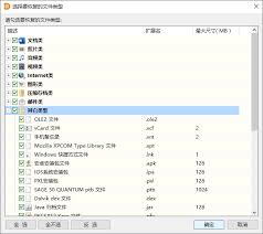 如何使用DiskGenius恢复指定类型的文件