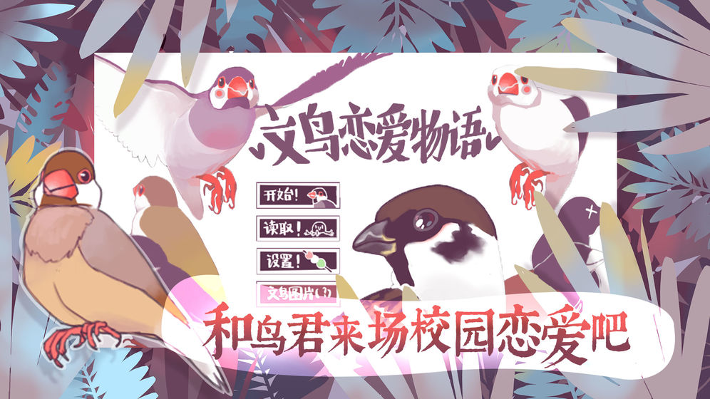 文鸟恋爱物语1