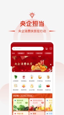 央企消费扶贫1