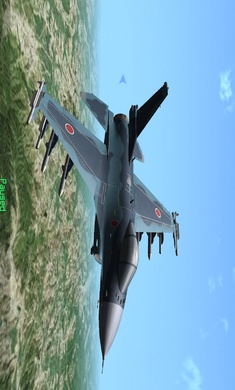 Strike Fighters2
