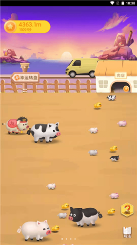 养猪日记1