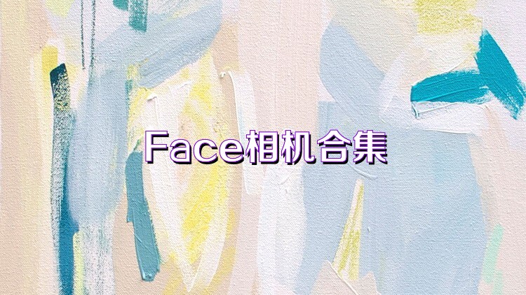 Face相机合集
