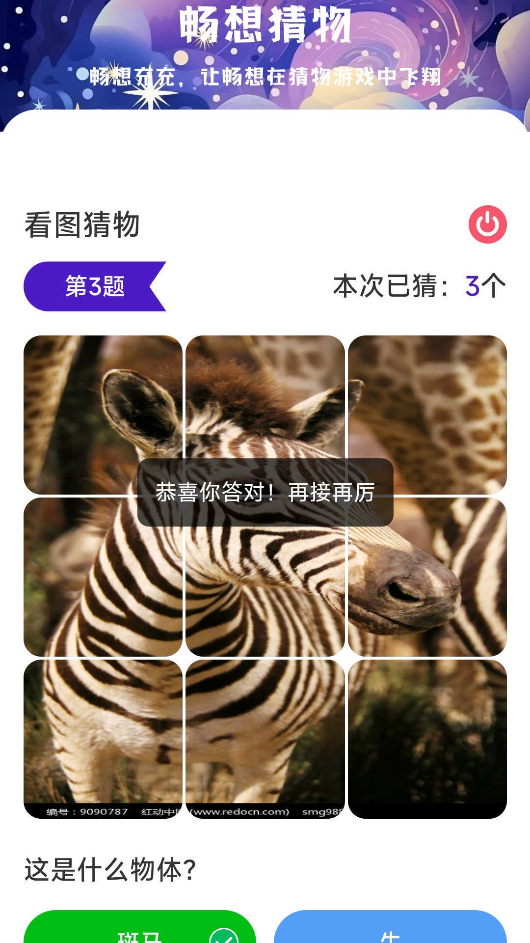 畅想充充1
