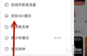 如何用Siri打开网易云音乐私人FM