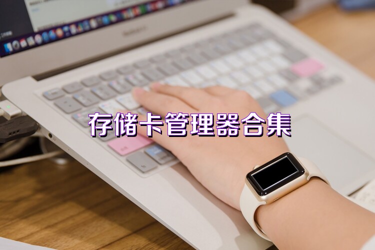 存储卡管理器合集