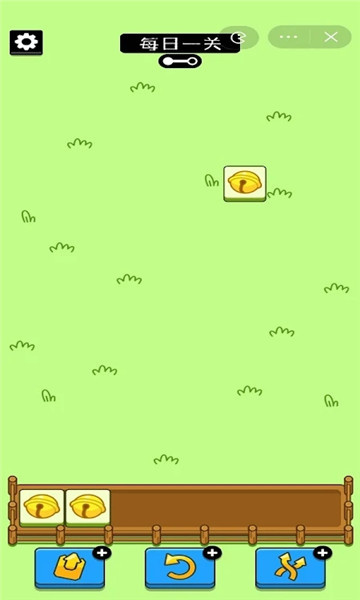 sheep sheep1