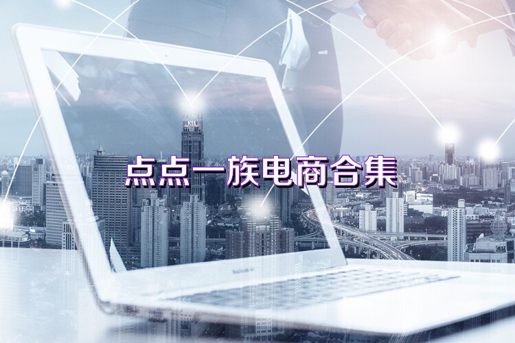 点点一族电商合集