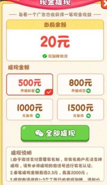 我家猫舍2