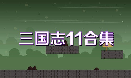 三国志11合集