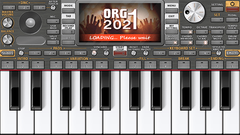 ORG20213