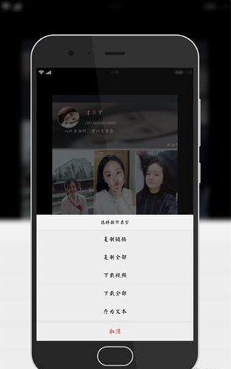 奇趣解析3