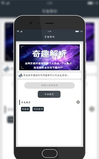 奇趣解析4