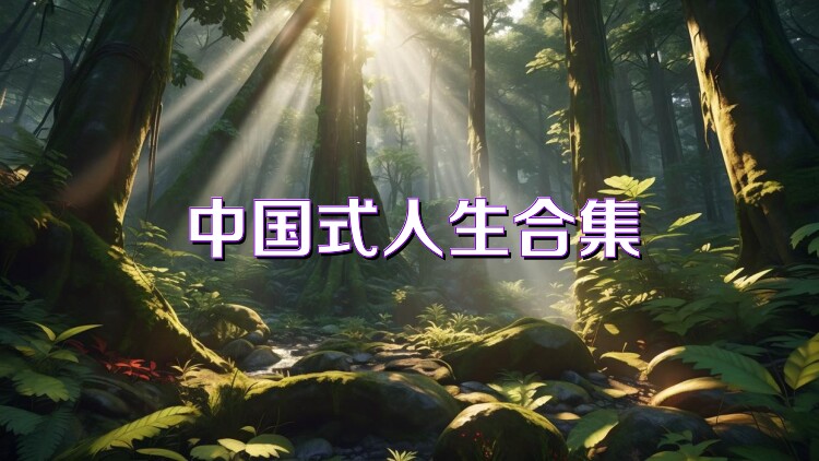 中国式人生合集