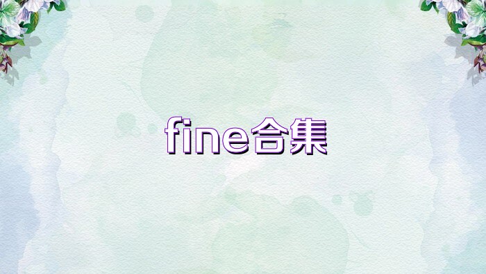 fine合集