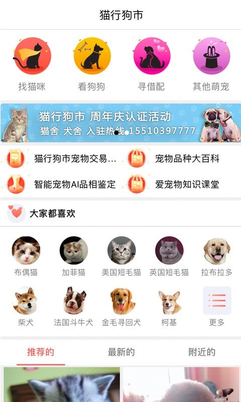 猫行狗市2