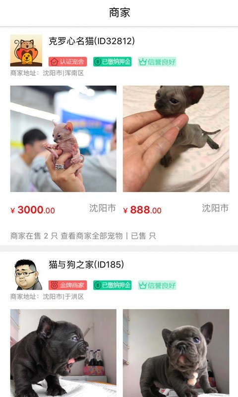猫行狗市3