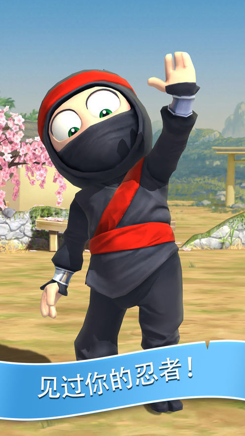 clumsy ninja5
