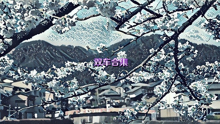 双车合集