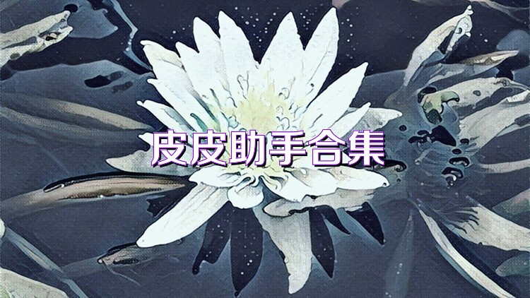 皮皮助手合集