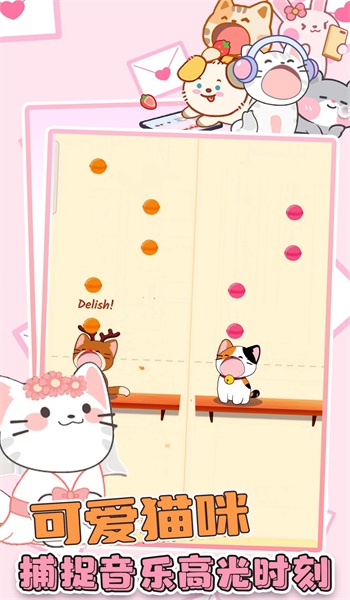 猫咪音乐双重奏3