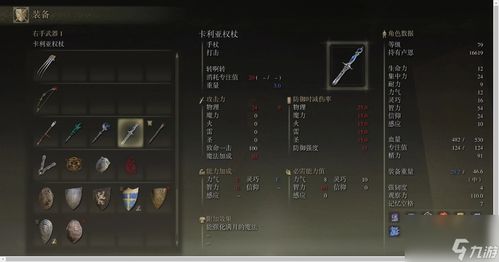 艾尔登法环如何设置双持武器技巧指南