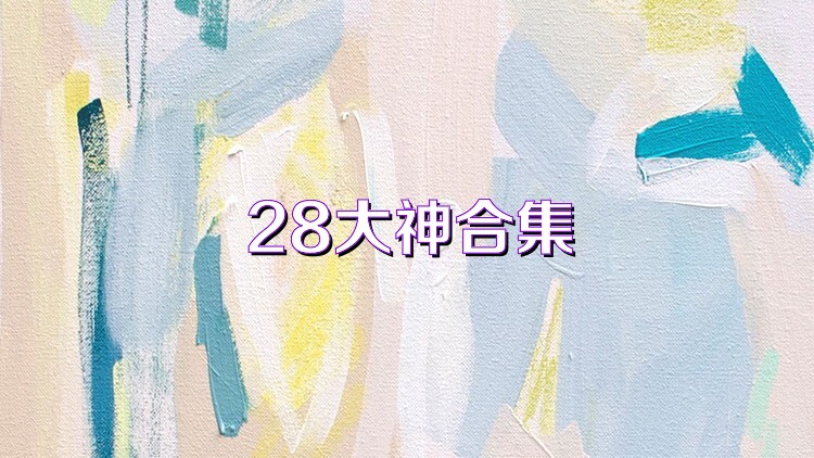 28大神合集