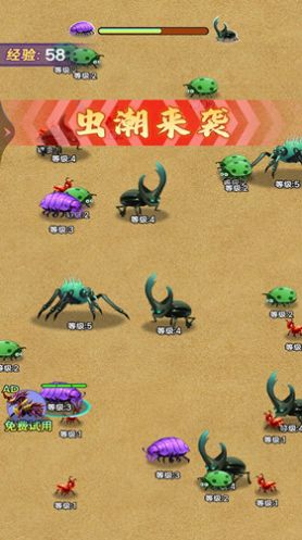 昆虫发育模拟器1