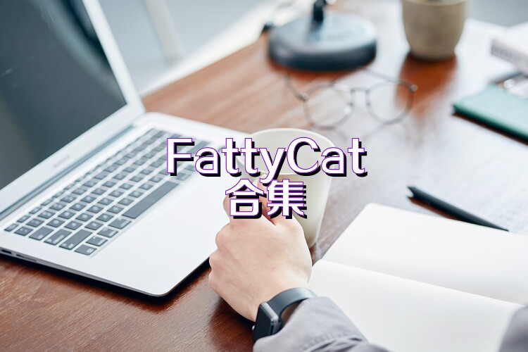 FattyCat合集