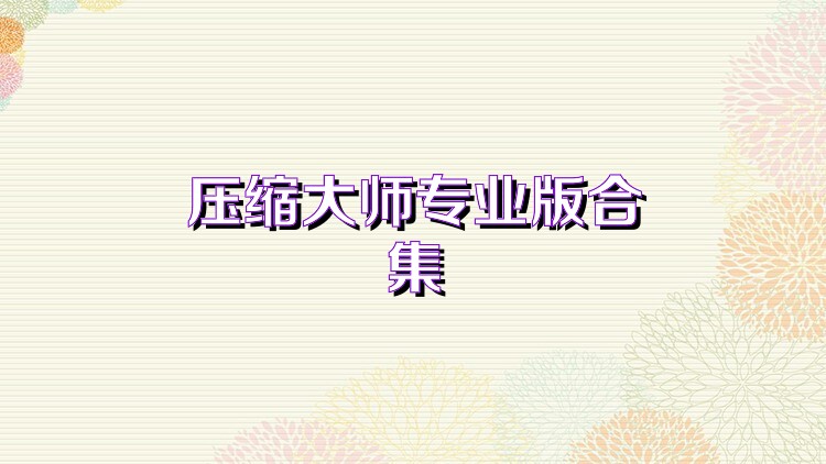 压缩大师专业版合集