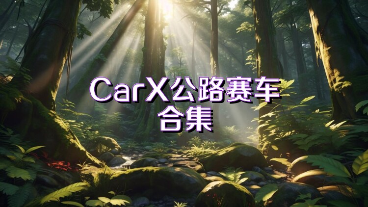 CarX公路赛车合集