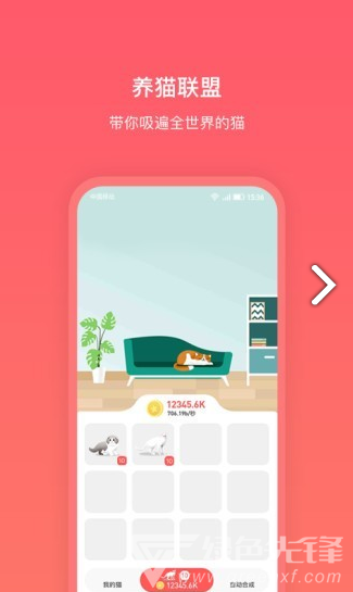 养猫联盟(养猫联盟赚钱)V1.2.3 安卓最新版2