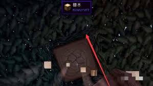 我的世界如何获取鲁伯特之泪