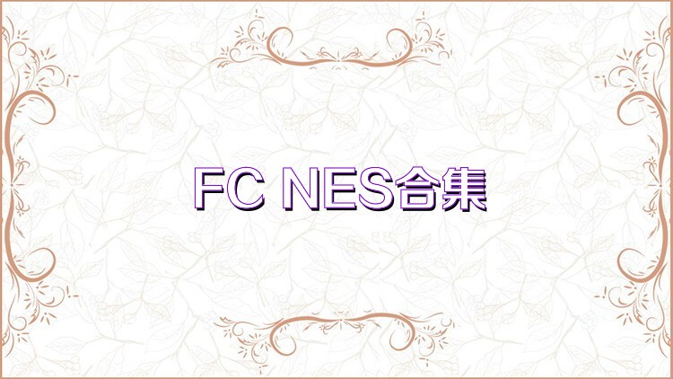 FC NES合集
