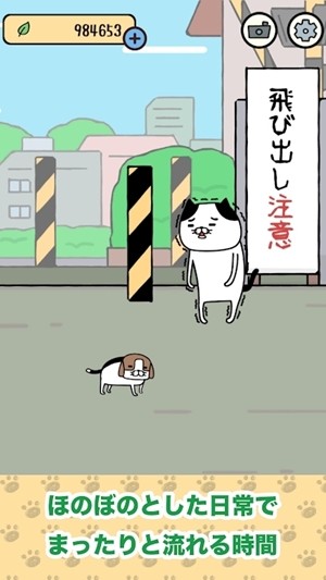 熊猫狗和猫4