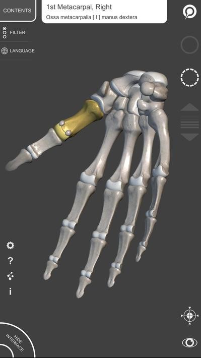 艺术家之3d解剖图2