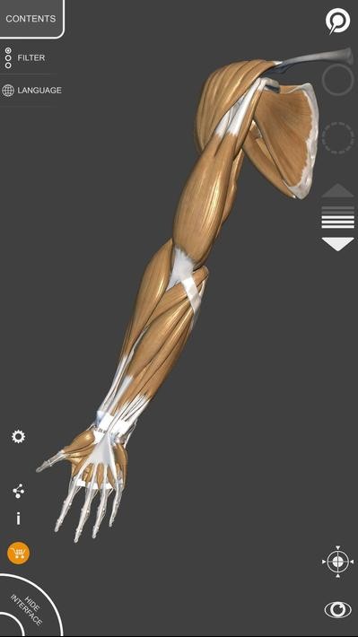 艺术家之3d解剖图3
