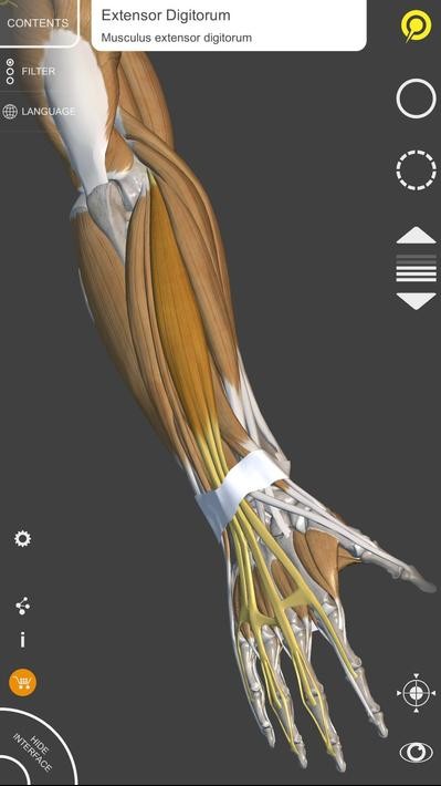 艺术家之3d解剖图4
