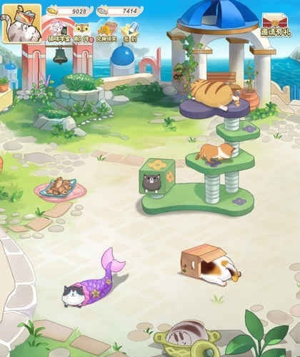 猫宅日记2