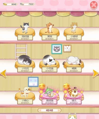 猫宅日记3