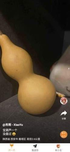 爪玩4