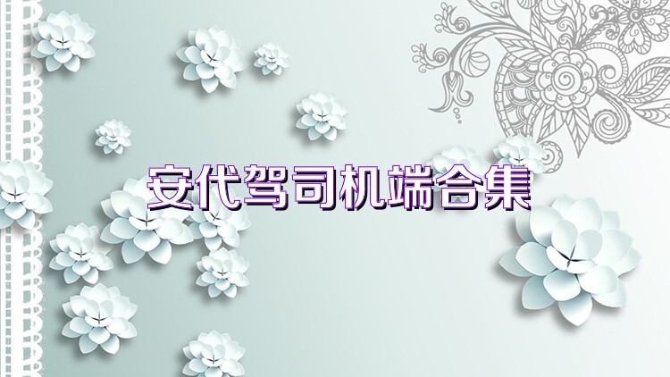 安代驾司机端合集