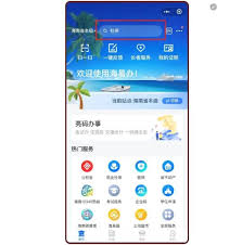 海易办怎么办理老人认证