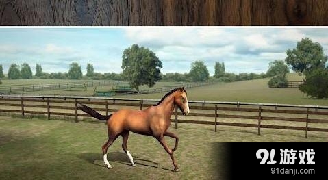 我的马 My Horse1