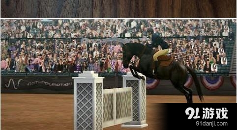 我的马 My Horse3