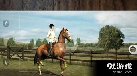 我的马 My Horse4