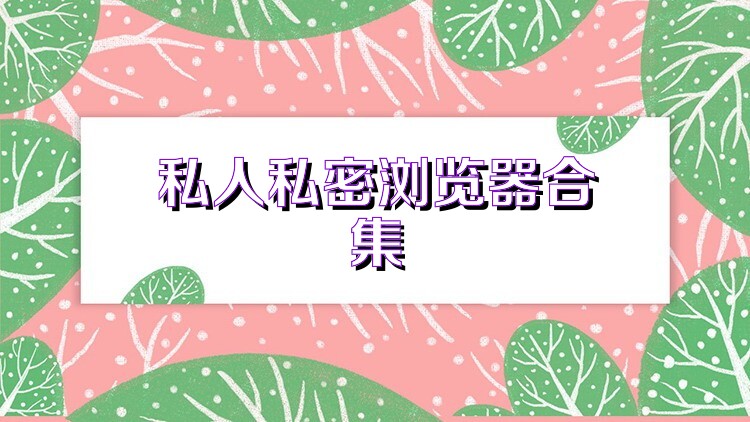 私人私密浏览器合集
