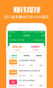 加粉猫4