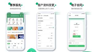 人寿保险车险app如何办理业务