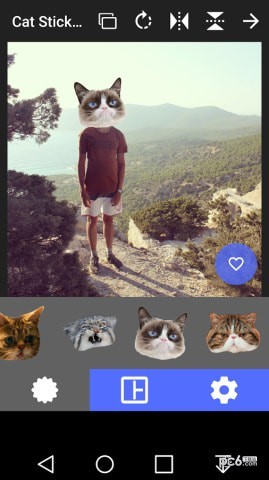 猫头贴纸1