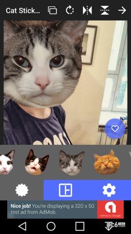 猫头贴纸2